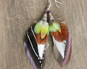 Brown Feather Earrings Small Guinea Feather Earrings Striped Brown and Green Feather Earrings