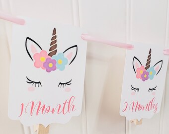 Unicorn Photo Banner. Unicorn Picture Garland. Newborn to One Year. Unicorn Party Decor.