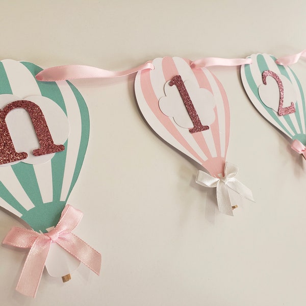 Hot air balloon photo banner. 12 month picture banner. One year garland. Hot air balloon party decorations. Newborn pictures. Custom Colors.