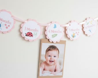 May include: A pink and white baby milestone banner with scalloped edges, featuring the months 1, 3, 4, 5, and 6. Each circle has a different illustration, including a ladybug, bee, and a baby photo.