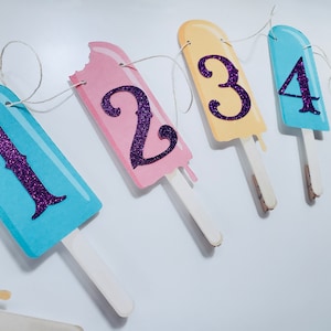 Popsicle Photo Banner. 12 Month Picture Banner. First Birthday Garland. One Year Photos. Handmade. Fully Assembled.