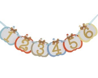 Fall Colors Pumpkin 1st Birthday Photo Banner: Newborn to One Year