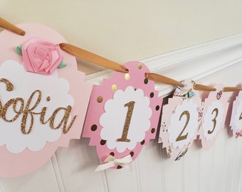 12 month photo banner. Pink and Gold picture banner. One year garland.