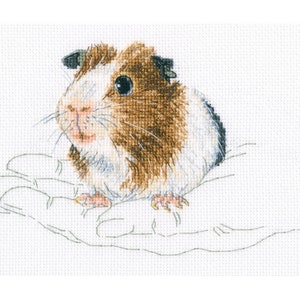 Counted Cross Stitch Kit Warmth in palms   by RTO Cavy