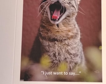 Biglietti d'auguri umoristici, set assortito di quattro