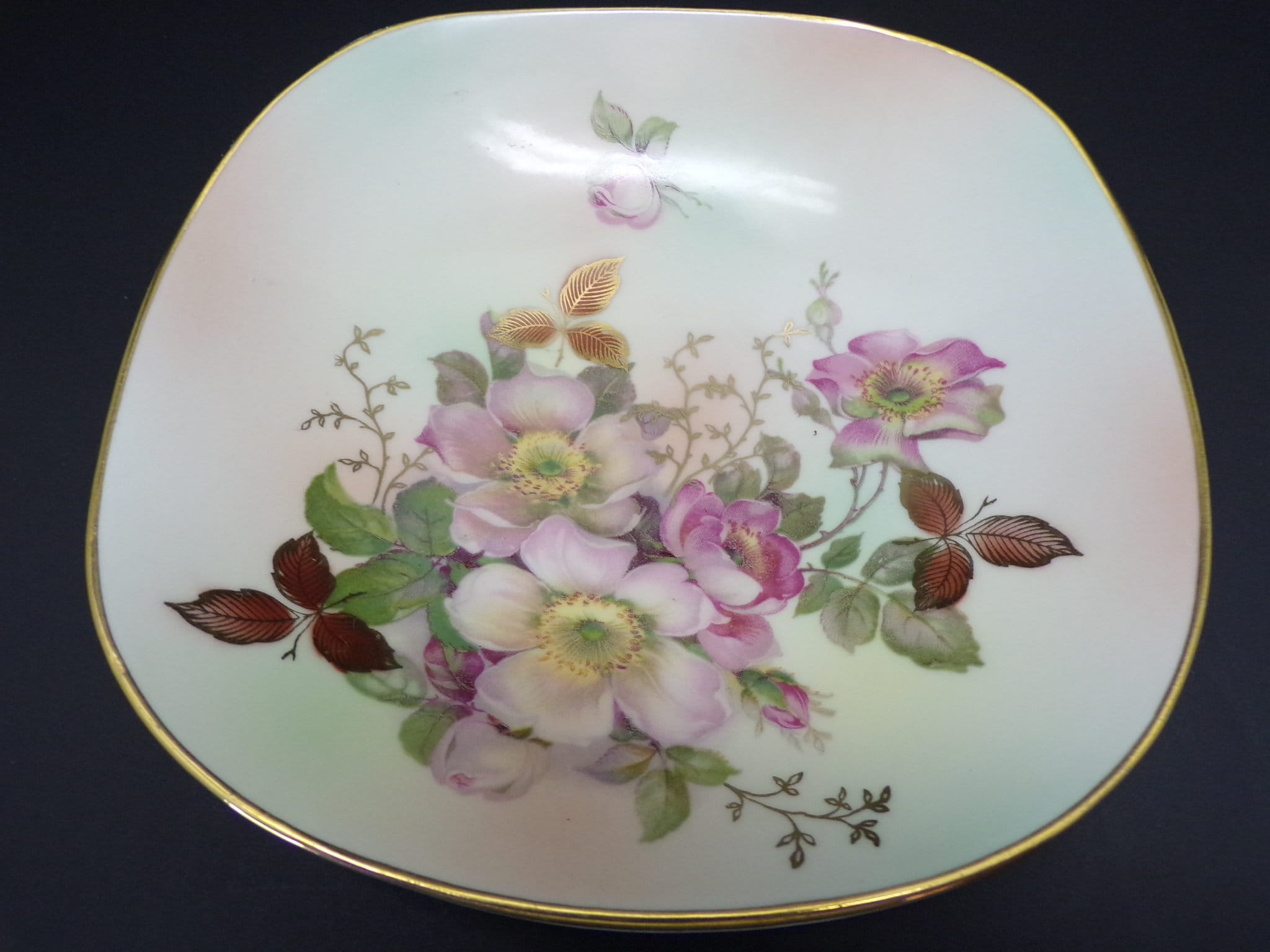 Vintage Bavaria Schumann Arzberg Plate, Wild Rose Blush, Gold Trim - Etsy