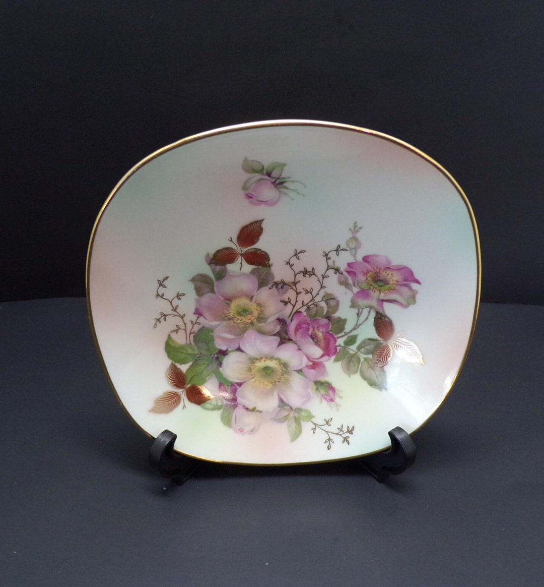 Vintage Bavaria Schumann Arzberg Plate, Wild Rose Blush, Gold Trim - Etsy