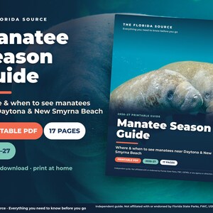 Manatee Season Guide Printable, Blue Spring State Park Planner, Florida Manatee Viewing Day Trip from Daytona & New Smyrna PDF