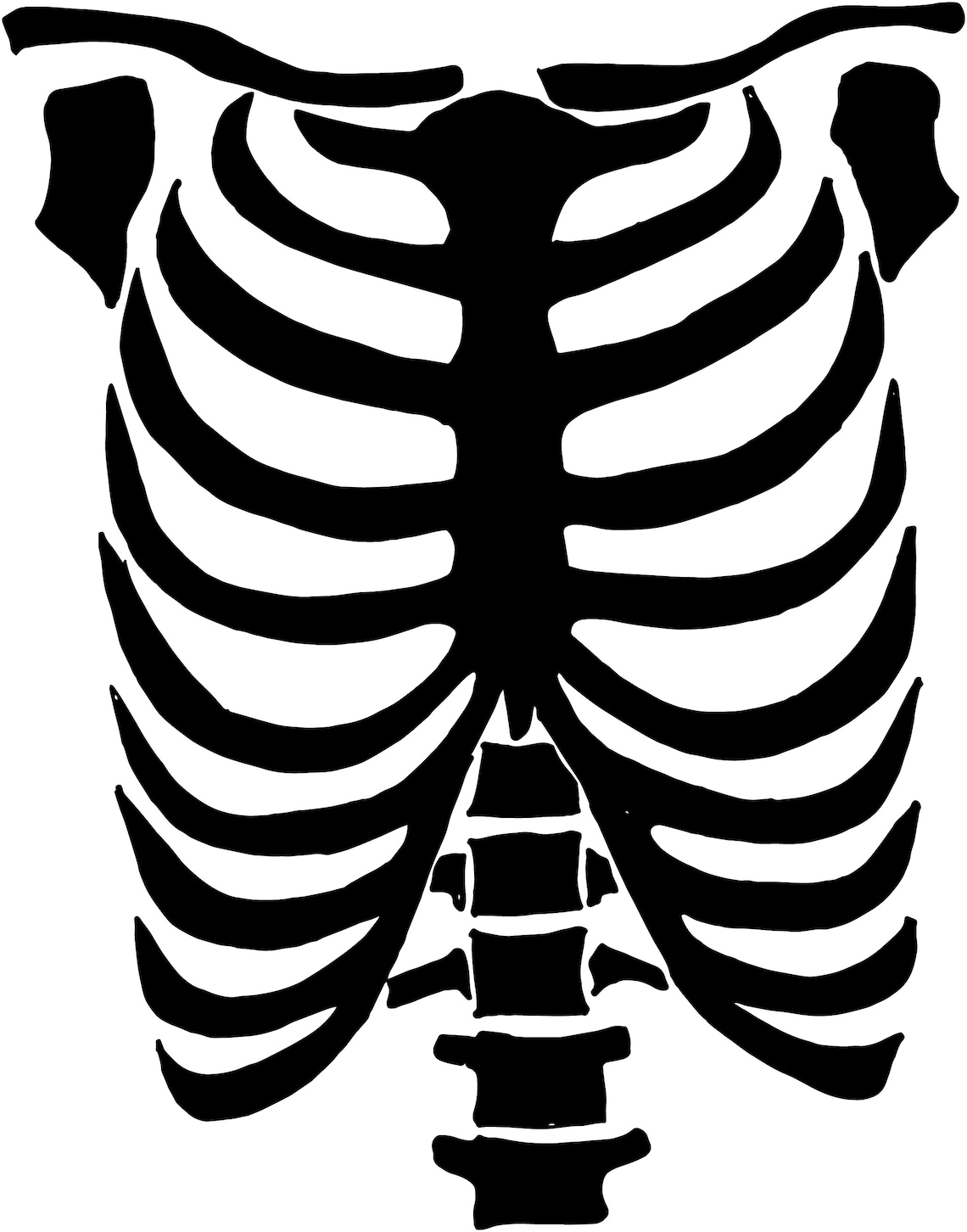 Rib Cage SVG // Cricut Halloween Designs // Skeleton Stencil | Etsy