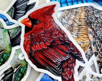 Cardinal Sticker, Red Cardinal Art, Red Bird, Vinyl Waterproof Sticker, for water bottle, car, laptop, suitcase, bird gift, Karri Jamison