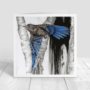 Bluebird Baby #2 Greeting Card, Blank Card, Note Card, Envelope Included, Eastern Blue Bird Card 5x5 inches on paper Karri Jamison