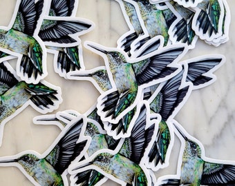 Hummingbird Sticker, humming bird Art, Vinyl Waterproof Sticker, for water bottle, car, laptop, suitcase, bird gift, decal, Karri Jamison