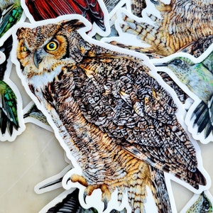 Owl Sticker, Great Horned Owl Art, Vinyl Waterproof Sticker, ONE for water bottle, car, laptop, suitcase, bird gift, decal, Karri Jamison