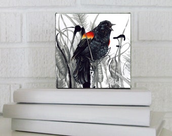Red-Winged Blackbird, Redwinged blackbird Bird Art, Wall Art, Kitchen Art, Office Décor, PRINT ON CANVAS, 4x4 inches, Karri Jamison