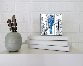 Blue Jay Art, Bluejay Print, Blue Jay Wall Art, Office Art, CANVAS PRINT, Kitchen Wall Art, Bird Print, Bird Decor, 4x4 inches Karri Jamison