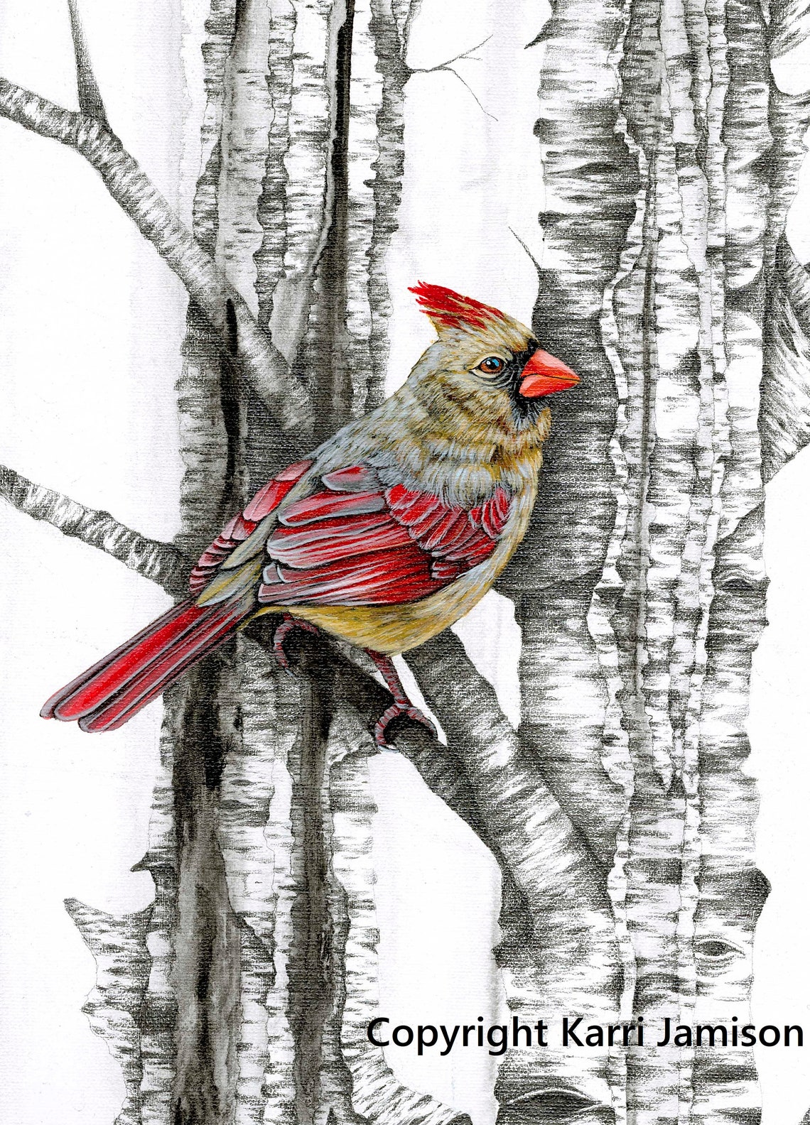 Cardinal Female Print Cardinal Art Cardinal Wall Art Female Etsy