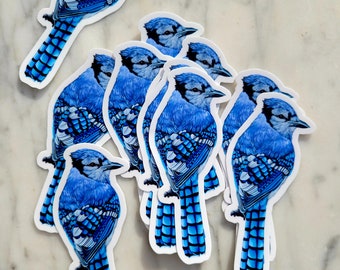 Blue Jay Sticker, Bluejay Art, Vinyl Waterproof Sticker, for water bottle, car, laptop, suitcase, bird gift, Karri Jamison