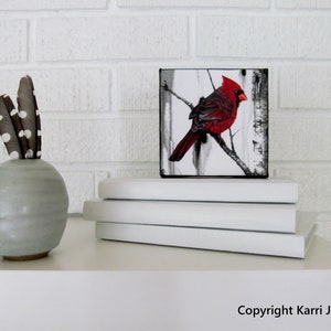 Karri Jamison MINI Canvas PRINT, Title: Male Cardinal and Birch #2, GICLEE Print on Canvas 4x4 inches