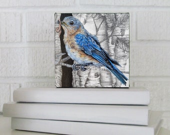 Bluebird, Female Bluebird Art, Eastern Bluebird Print, Wall Art, Kitchen Art Print, Office Décor, PRINT ON CANVAS, 4x4 inches, Karri Jamison