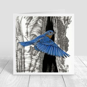 Bluebird Male Greeting Card, Blank Card, Note Card, Envelope Included, Easter Blue Bird Card 5x5 inches on paper Karri Jamison