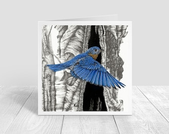 Bluebird Male Greeting Card, Blank Card, Note Card, Envelope Included, Easter Blue Bird Card 5x5 inches on paper Karri Jamison