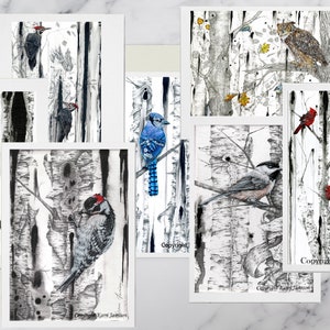 Conjunto de cartões em branco, conjunto de cartões de pássaros, conjunto de cartões da natureza, conjunto em caixa para presente, pacote de cartões da floresta - 7 cartões e envelopes incluídos, Karri Jamison