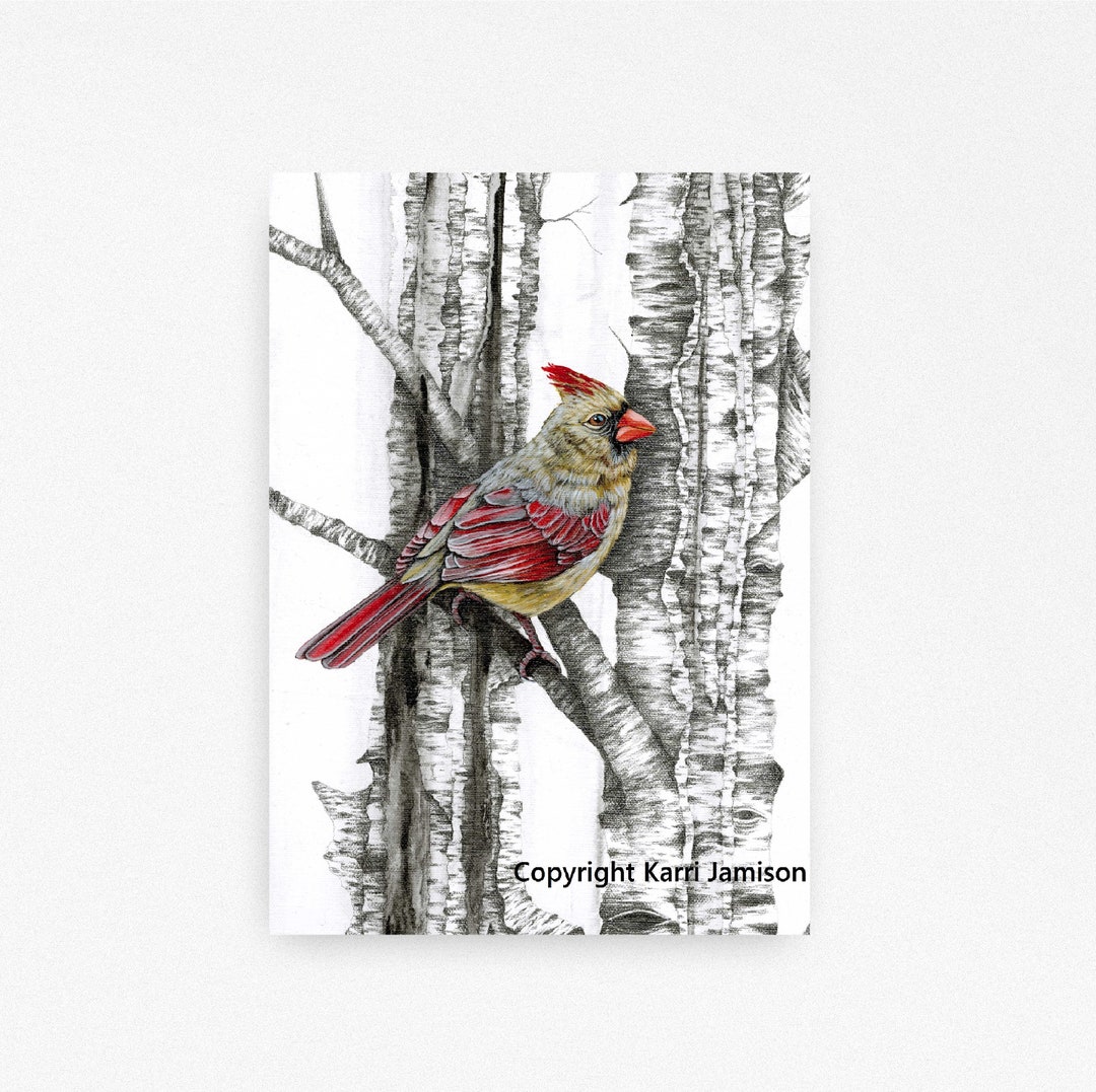 Cardinal Art, Cardinal Print, Male Cardinal, Red Bird, Karri Jamison, Canvas Print 9x12 inches hot