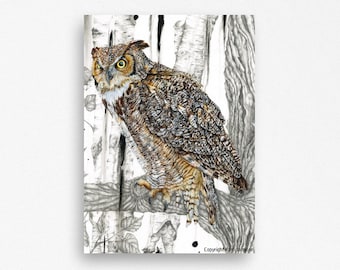 May include: A detailed pencil drawing of a great horned owl perched on a branch in a birch tree forest. The owl has yellow eyes and brown and gray feathers. The background is a black and white illustration of birch trees.
