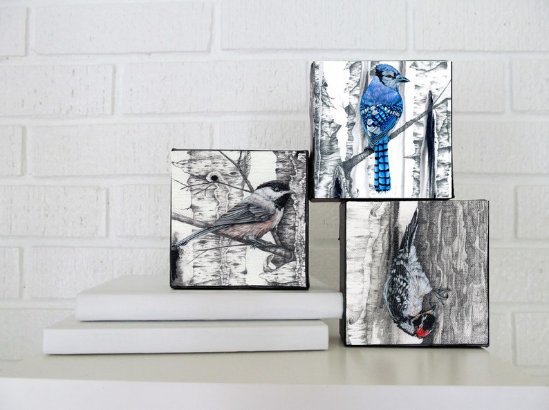 Blue Jay Art Bluejay Print Blue Jay Wall Art Office Art Etsy