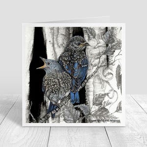 Bluebird Babies Cuddling Greeting Card, Blank Card, Note Card, Envelope Included, Eastern Blue Bird Card 5x5 inches on paper Karri Jamison