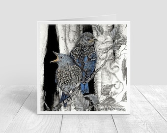 Bluebird Babies Cuddling Greeting Card, Blank Card, Note Card, Envelope Included, Eastern Blue Bird Card 5x5 inches on paper Karri Jamison