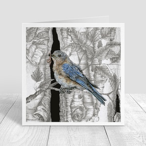 Bluebird Female Greeting Card, Blank Card, Note Card, Envelope Included, Easter Blue Bird Card 5x5 inches on paper Karri Jamison