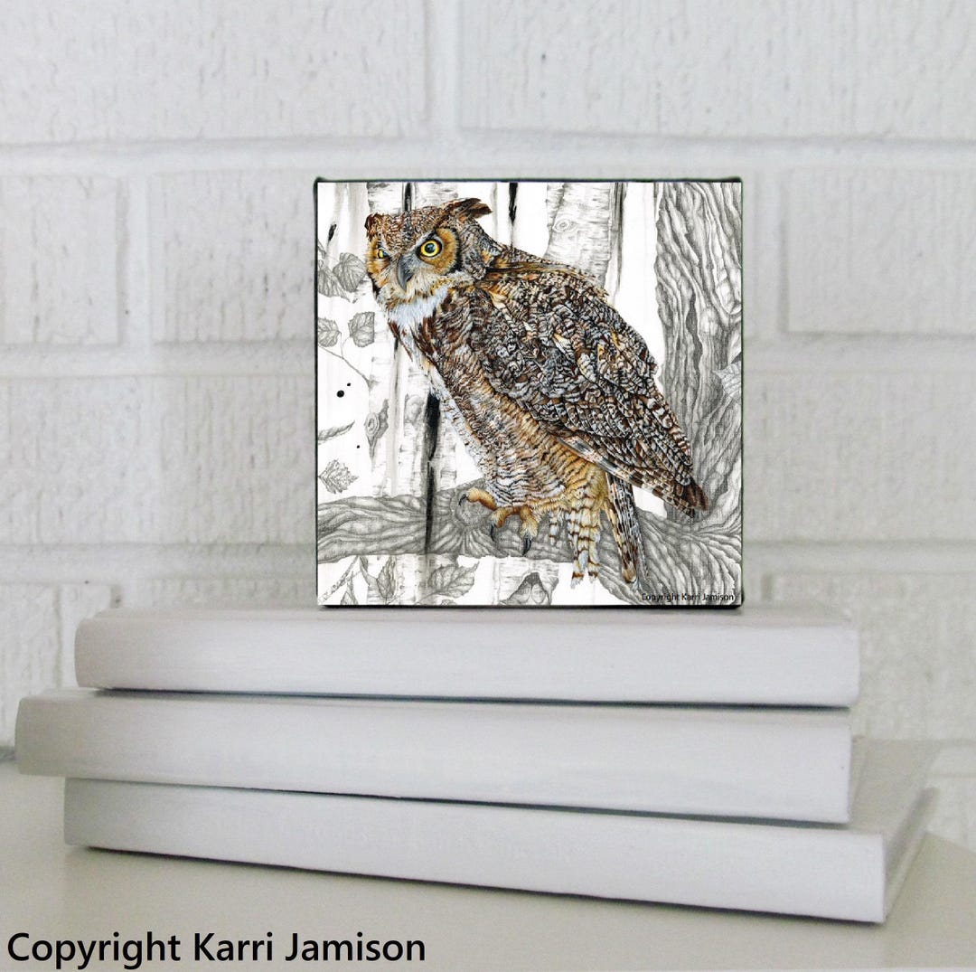 フクロウ、アメリカワシミミズクのアート、鳥、ミニフクロウ、ウォール