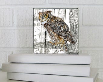 Owl, Great Horned Owl Art, Bird, Mini Owl, Wall Art, Kitchen Art Print, Office Décor, PRINT ON CANVAS, 4x4 inches, Karri Jamison