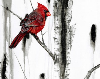 Cardinal Art, Cardinal Print, Male Cardinal, Red Bird, Karri Jamison, Canvas Print 9x12 inches