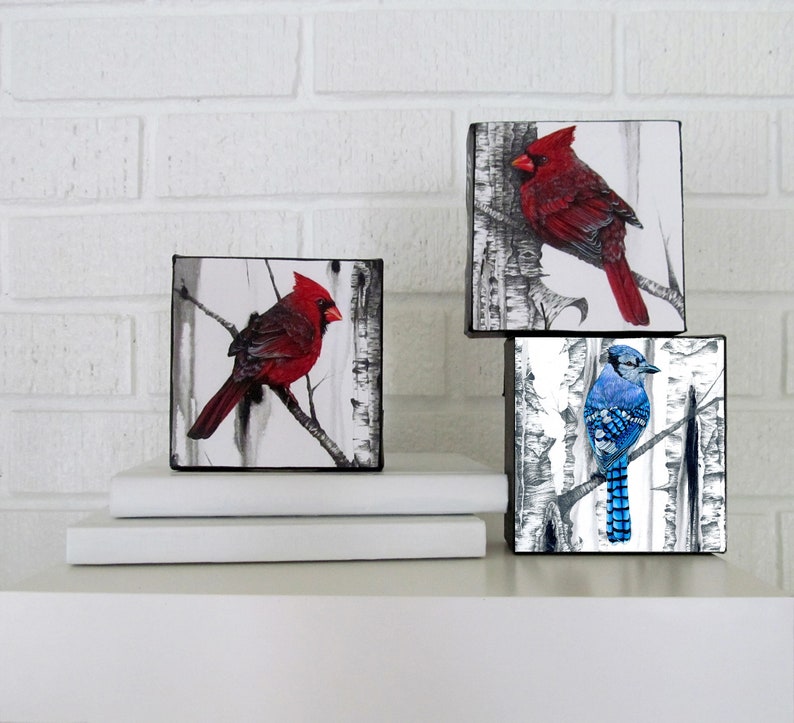 Blue Jay Art Bluejay Print Blue Jay Wall Art Office Art Etsy