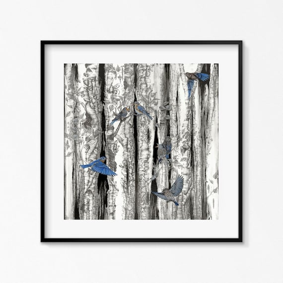 Bluebird Print Eastern Blue Bird Art Bird Art Paper Print - Etsy