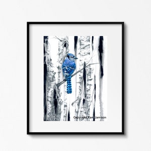Blue Jay Print, Bluejay Art, Blue Jay Art Print, Blue Jay Wall Art, Bird Art, Birch Tree Print, Karri Jamison