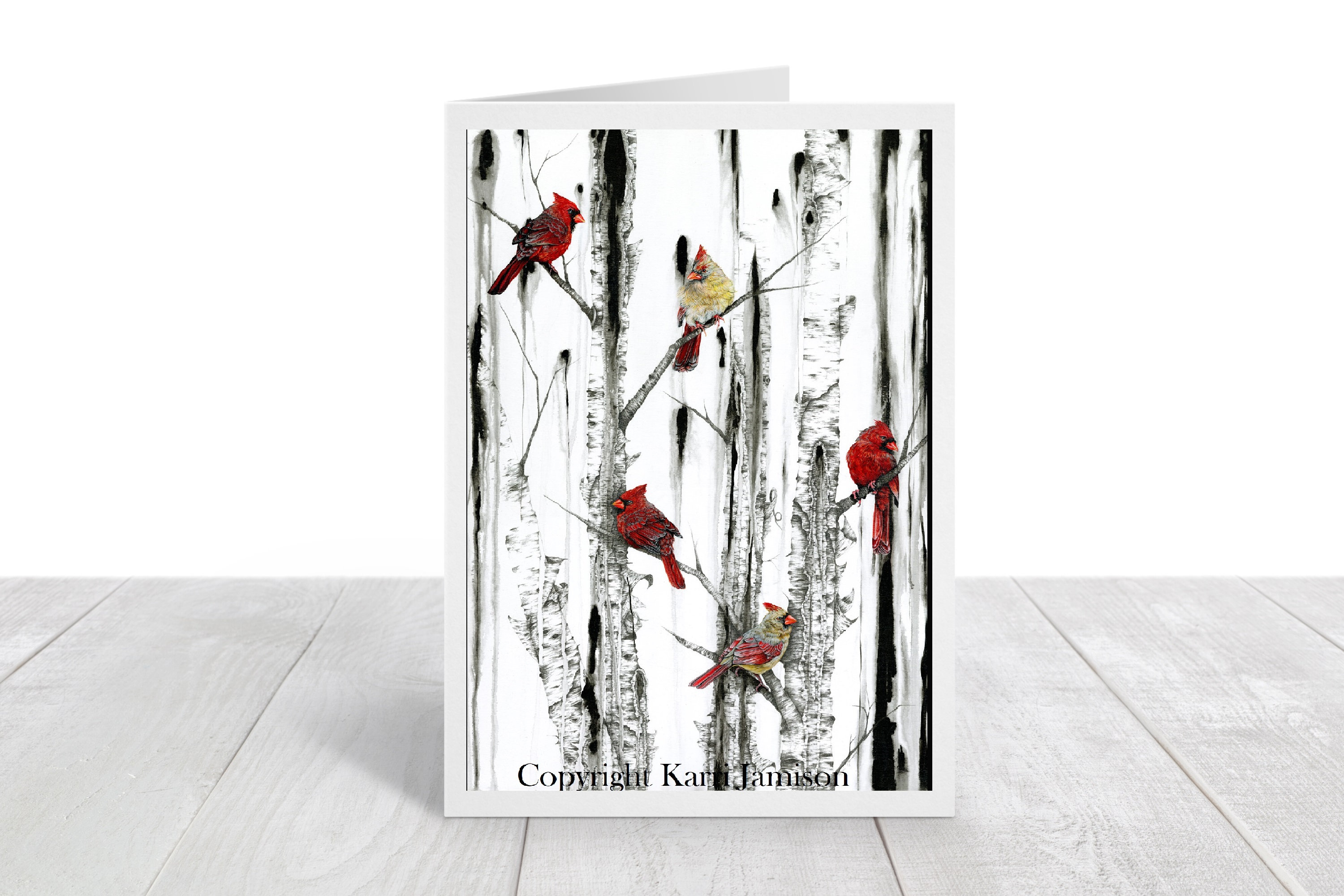 Blank Card Set Bird Card Set Nature Card Set Gift Boxed Etsy
