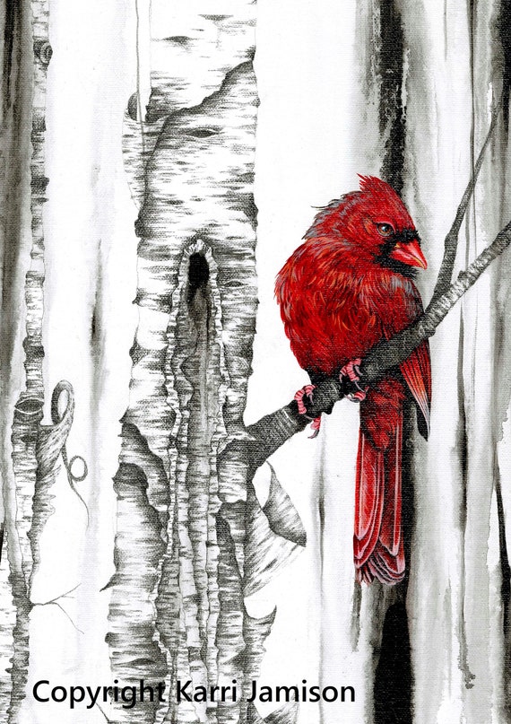 Giclee Print Cardinal Art Cardinal Print Canvas Print Red Bird Print 5x7 inches Karri Jamison Birch Tree Art Male Cardinal Artwork