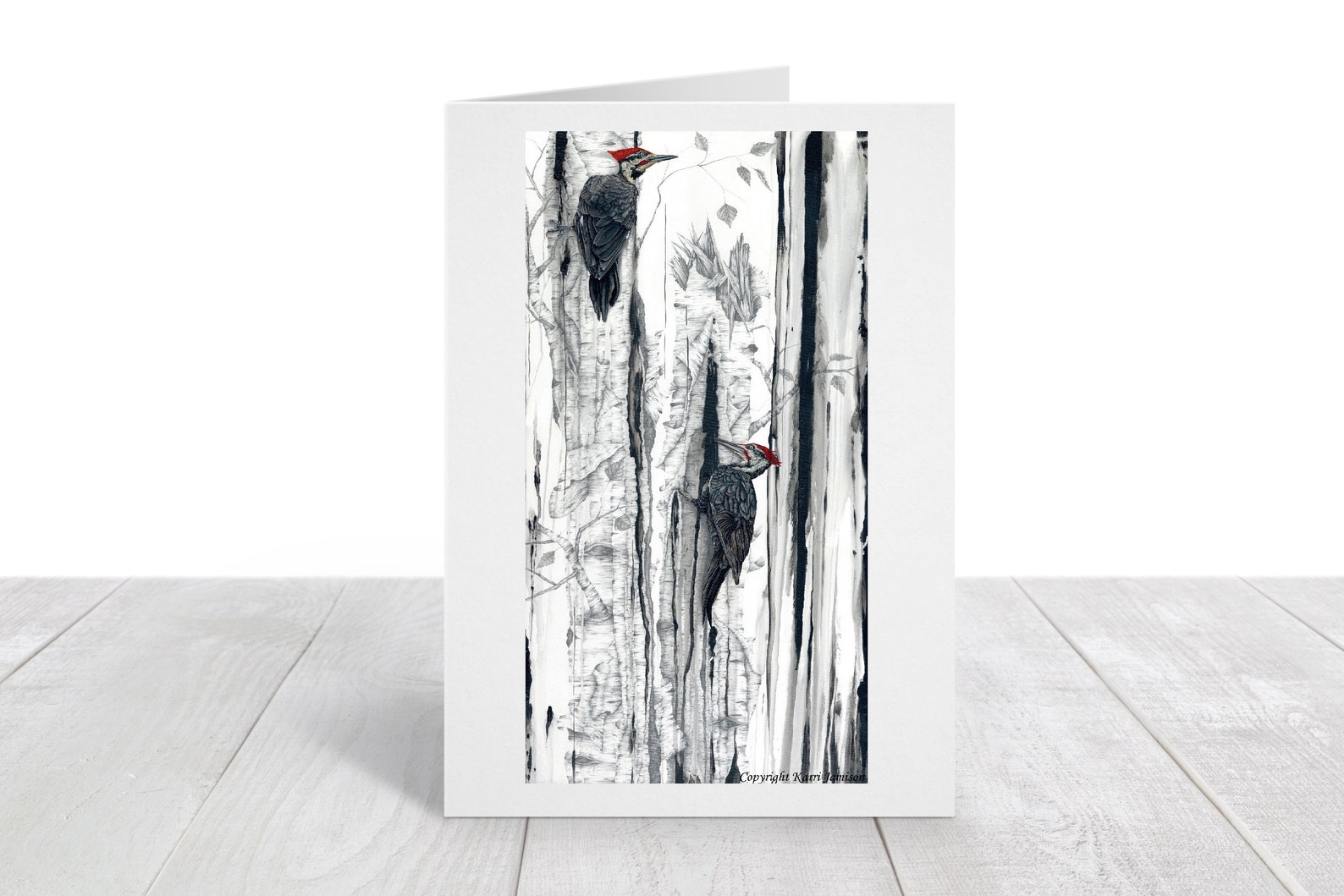 Blank Card Set Bird Card Set Nature Card Set Gift Boxed Etsy