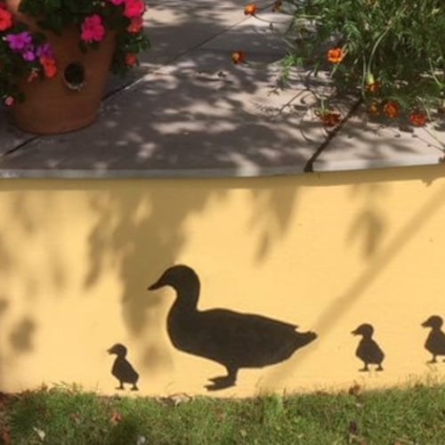 Duck Animal Stencil Airbrush Wall Art Craft Painting Home Decor DIY Reusable Duck Animal Stencil Airbrush Wall Art Craft Painting Home Decor DIY Reusable