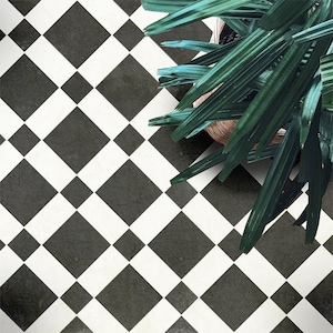 Op de afbeelding: Zwart-witte vloerbetegeling met ruitpatroon. De tegels zijn in een schaakbordpatroon gerangschikt. Een groene plant bevindt zich in de rechterbovenhoek van de afbeelding.