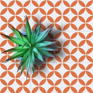 Puede incluir: Azulejos de suelo con estampado geométrico naranja y blanco con una planta suculenta verde en una maceta en el centro.