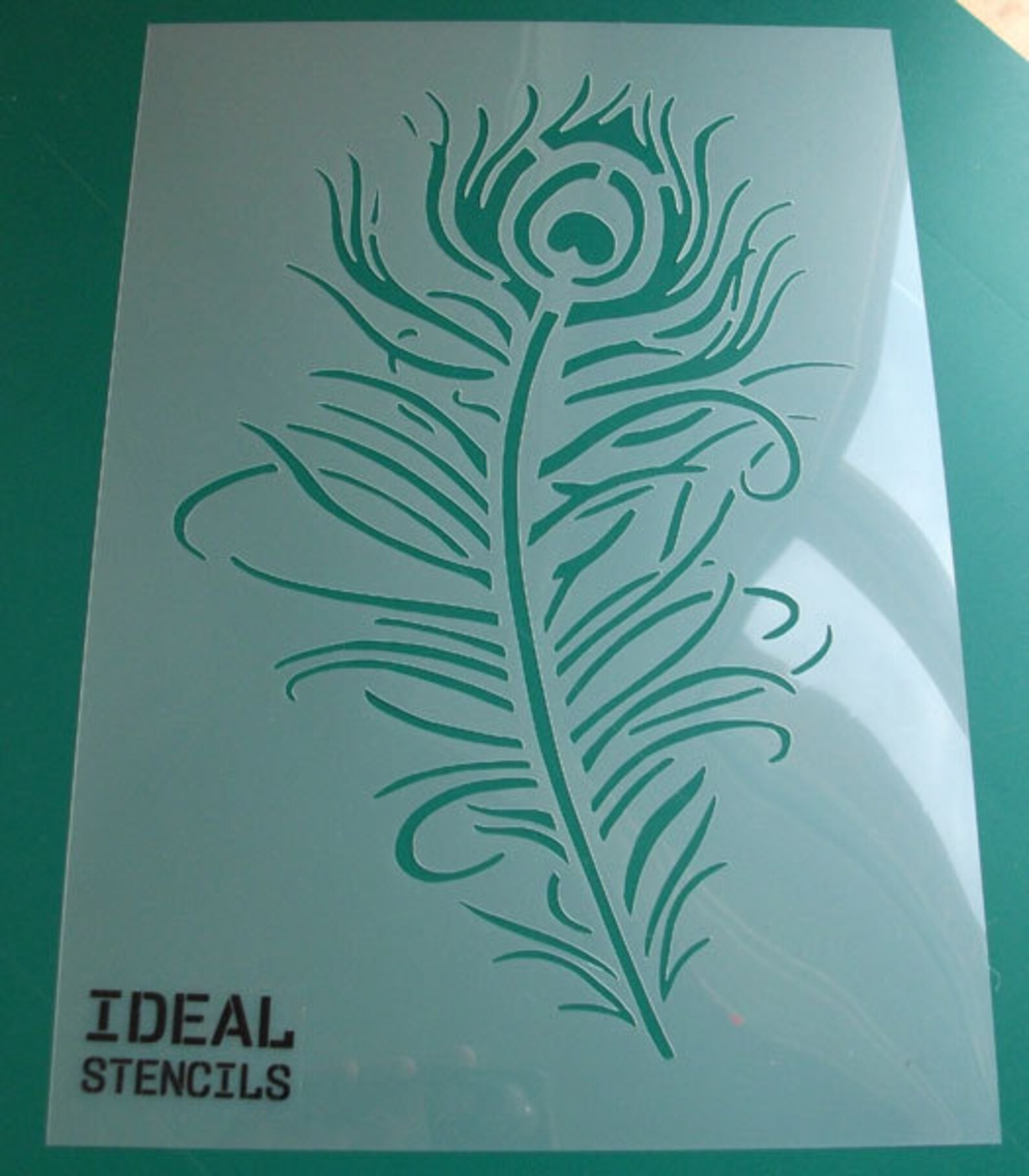 Peacock Feather Stencil Home Wall Decorating Painting Etsy