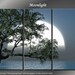 Framed Huge 3 Panel Digital Art Ocean Moon Moonlight Giclee Canvas Print - Ready to Hang