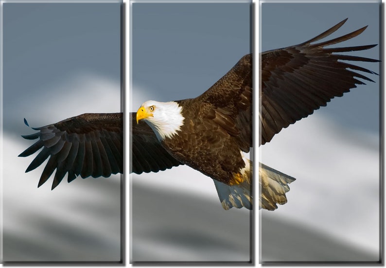 Framed Huge 3-Panel Flying Bald Eagle Canvas Art Print Ready to Hang image 1