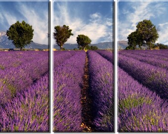 Framed Huge 3-Panel Lavender Field Provence Canvas Art Print - Ready to Hang