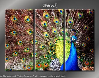 Framed Huge 3 Panel Bird Peacock Giclee Canvas Print - Ready to Hang