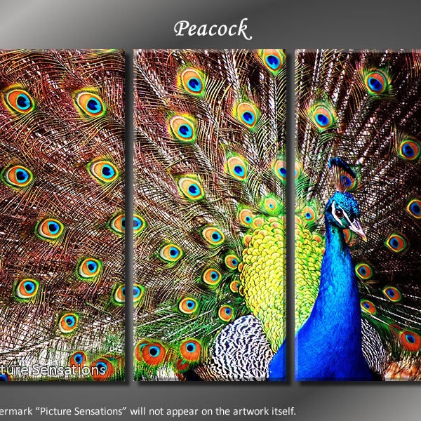 Framed Huge 3 Panel Bird Peacock Giclee Canvas Print - Ready to Hang